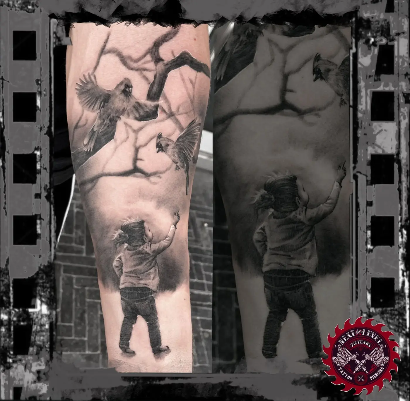 Portfolio image