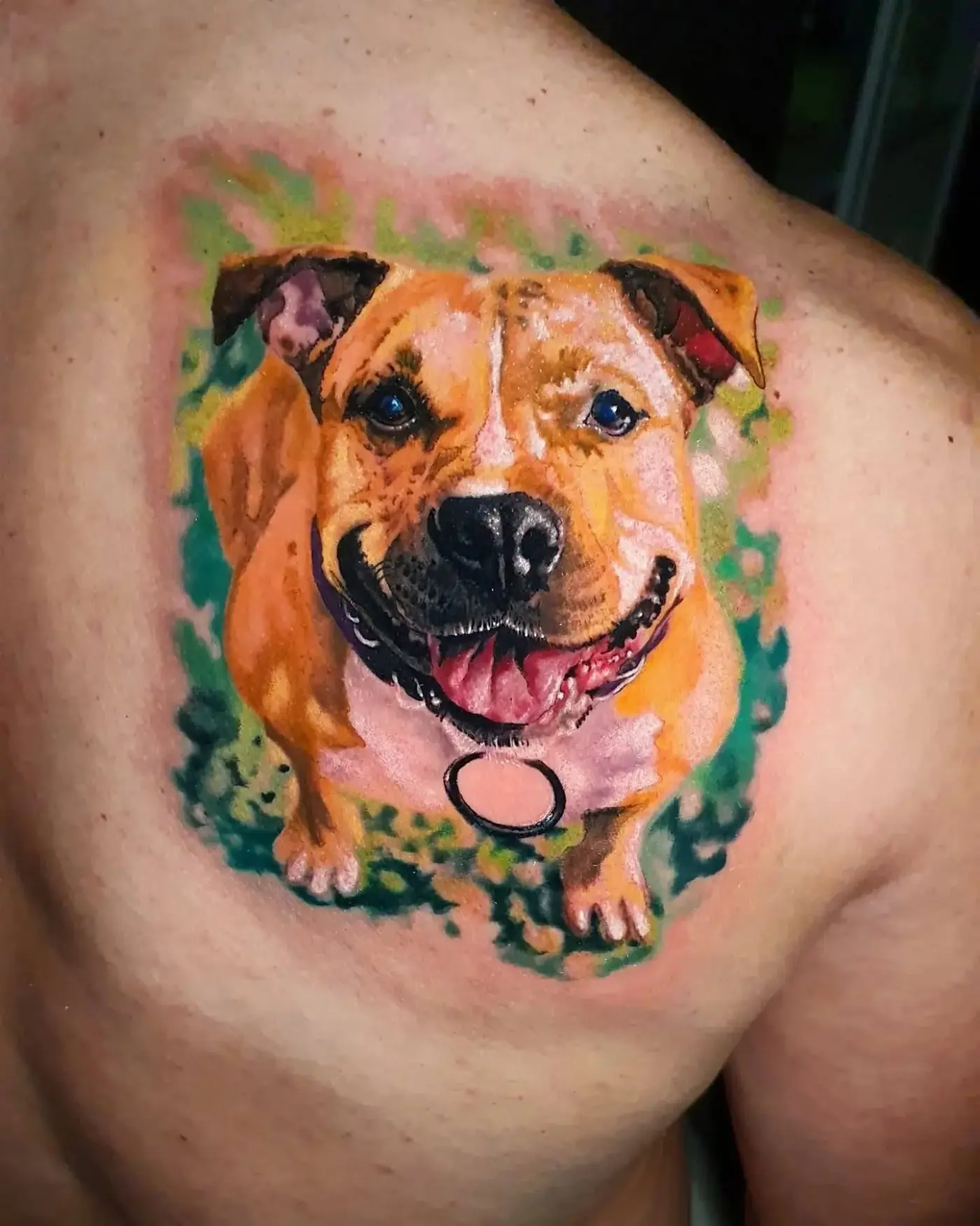 Portfolio image