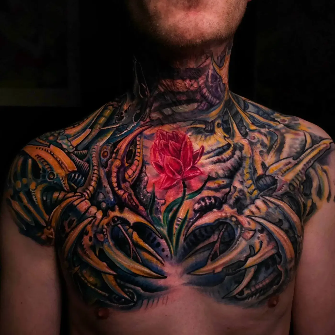 Portfolio image