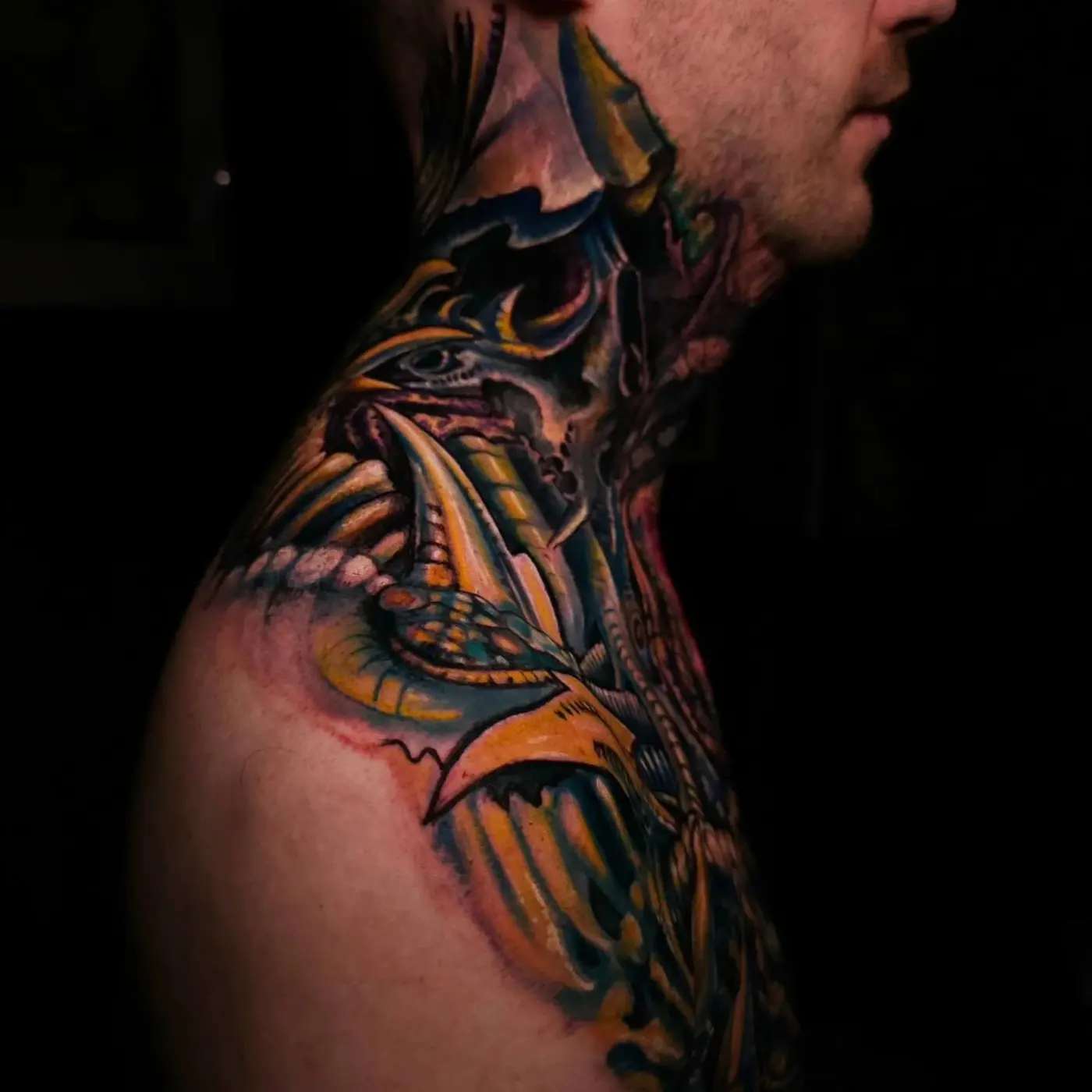 Portfolio image